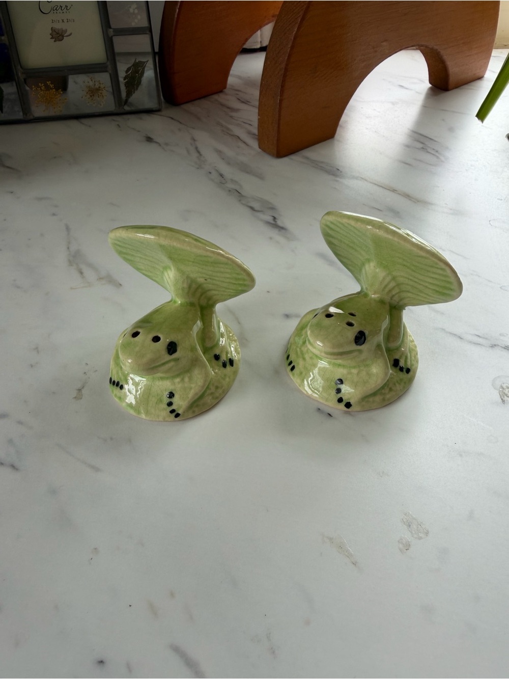 VTG Ceramic Frog Salt & Pepper Shakers